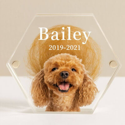 Personalised Acrylic Dog Keepsake with Photo –...