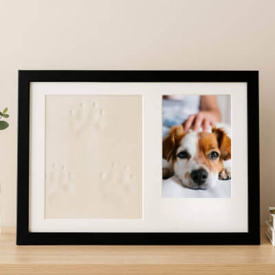 Kit cadre photo chien avec argile pour...