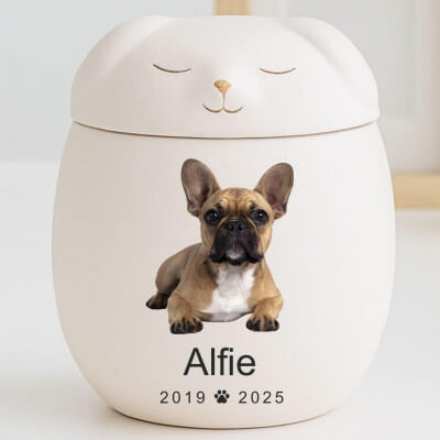 Personalised Ceramic Dog Urn with Sleeping Pet...